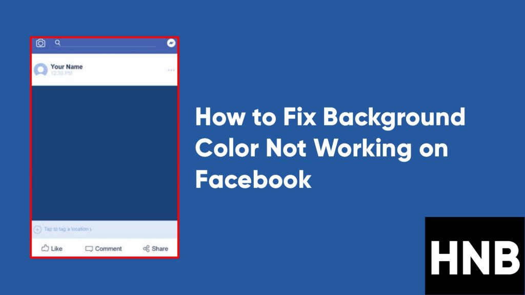 How to Fix Background Color Not Working on Facebook (6 Ways)