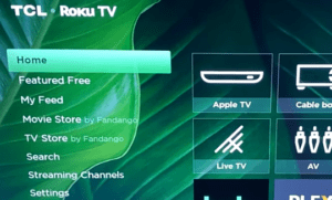 How Do I Clear the Cache on My Roku TV